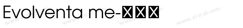 Evolventa me字体转换